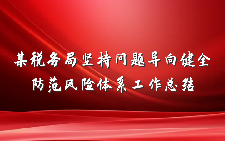 某税务局坚持问题导向健全防范风险体系工作总结