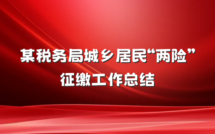 某税务局城乡居民“两险”征缴工作总结