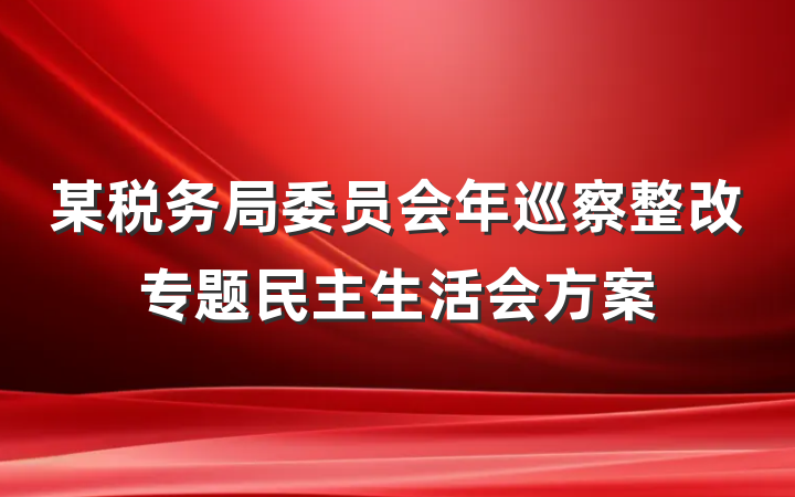 某税务局委员会年巡察整改专题民主生活会方案