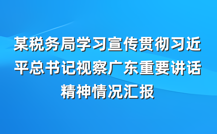 某税务局学习宣传贯彻习近平总书记视察广东重要讲话精神情况汇报