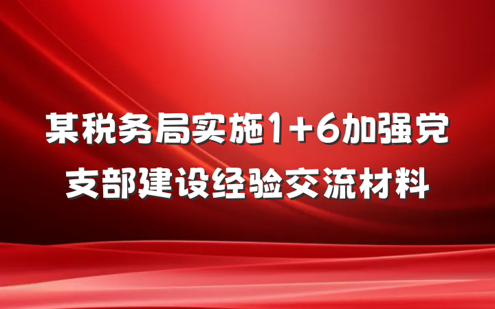 某税务局实施1+6加强党支部建设经验交流材料