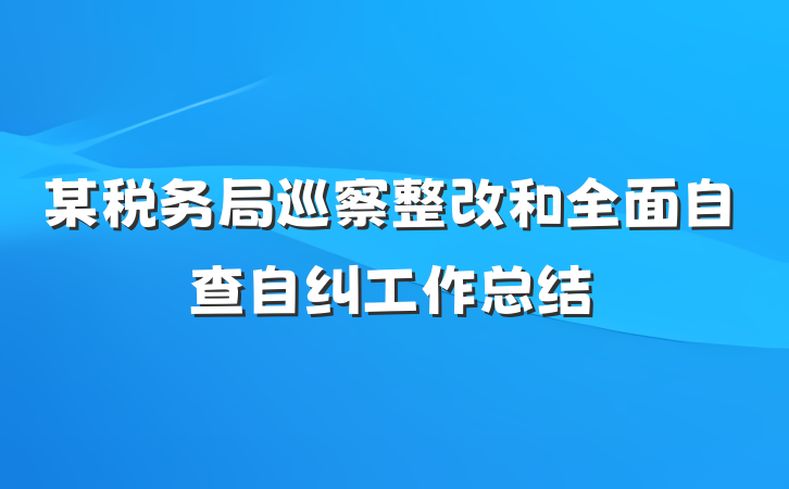 某税务局巡察整改和全面自查自纠工作总结