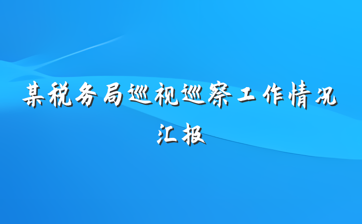 某税务局巡视巡察工作情况汇报