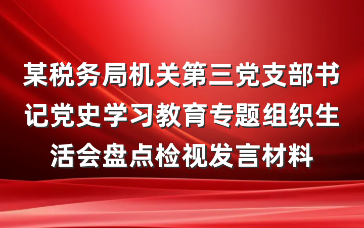 某税务局机关第三党支部书记党史学习教育专题组织生活会盘点检视发言材料