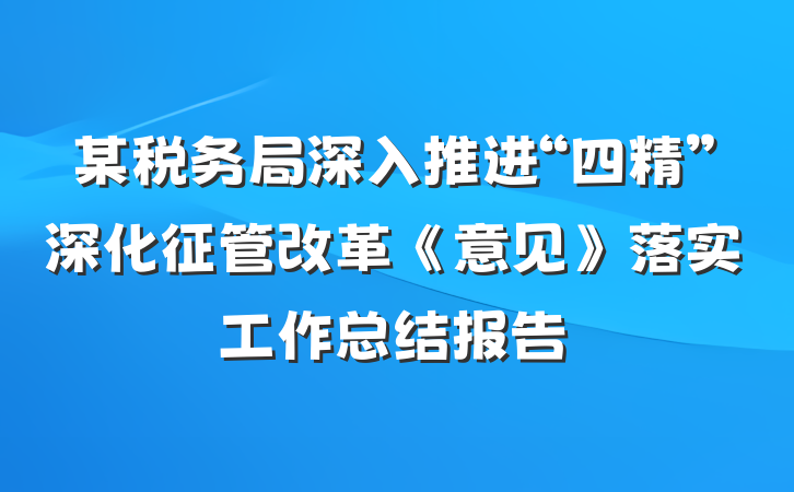 某税务局深入推进“四精”深化征管改革《意见》落实工作总结报告