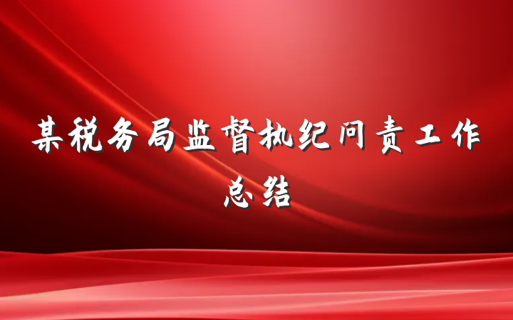 某税务局监督执纪问责工作总结