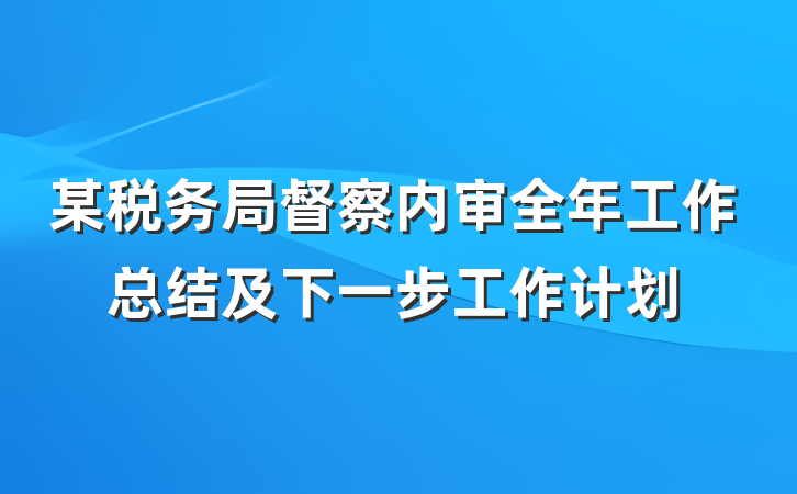 某税务局督察内审全年工作总结及下一步工作计划
