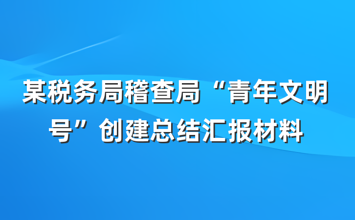 某税务局稽查局“青年文明号”创建总结汇报材料