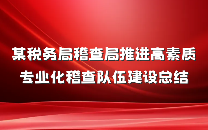 某税务局稽查局推进高素质专业化稽查队伍建设总结
