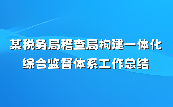 某税务局稽查局构建一体化综合监督体系工作总结