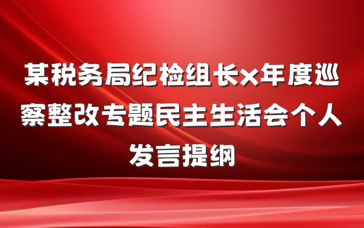 某税务局纪检组长x年度巡察整改专题民主生活会个人发言提纲
