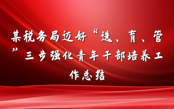 某税务局迈好“选、育、管”三步强化青年干部培养工作总结