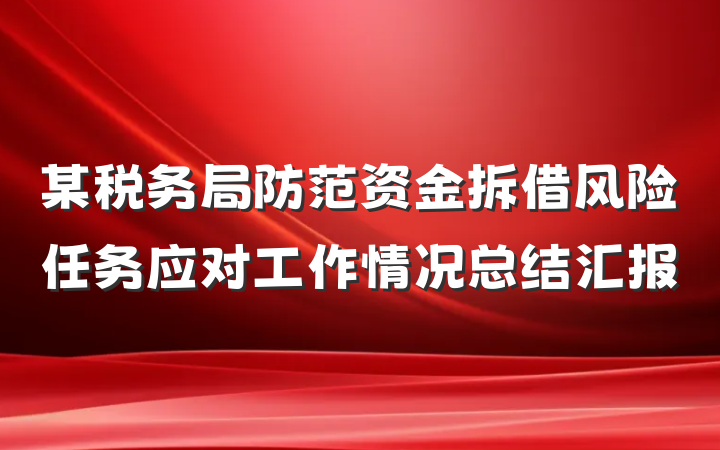 某税务局防范资金拆借风险任务应对工作情况总结汇报