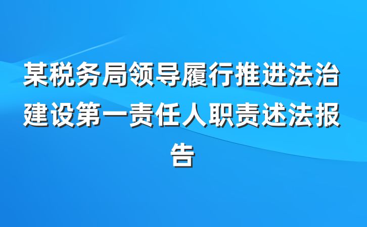 某税务局领导履行推进法治建设第一责任人职责述法报告