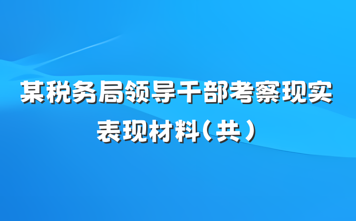 某税务局领导干部考察现实表现材料（共）