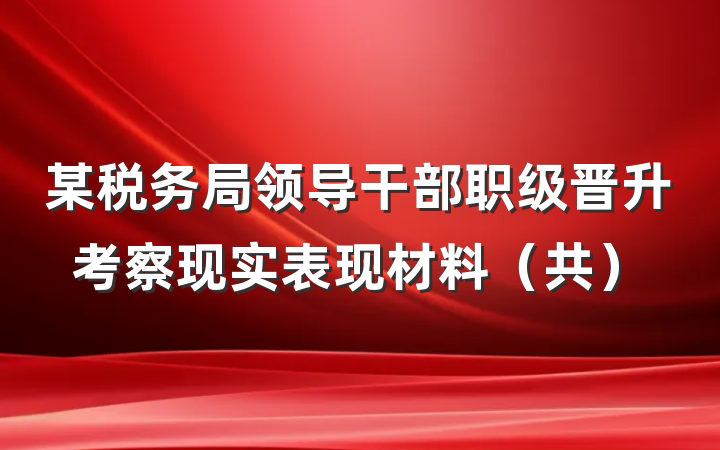 某税务局领导干部职级晋升考察现实表现材料（共）