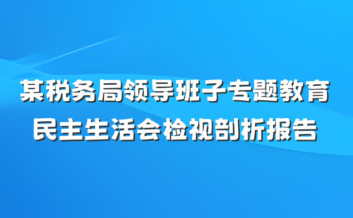 某税务局领导班子专题教育民主生活会检视剖析报告