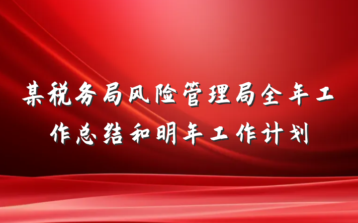 某税务局风险管理局全年工作总结和明年工作计划