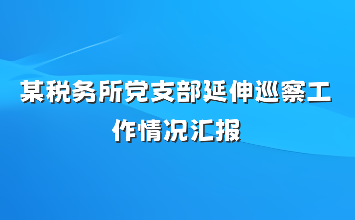 某税务所党支部延伸巡察工作情况汇报