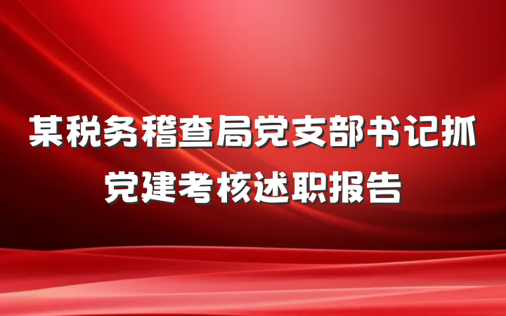 某税务稽查局党支部书记抓党建考核述职报告