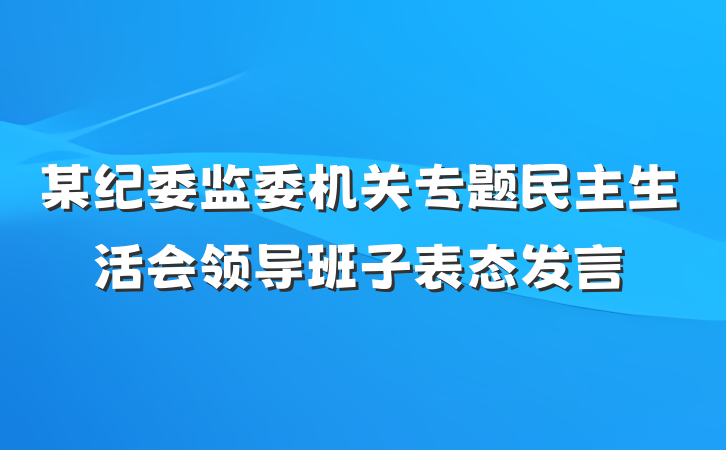 某纪委监委机关专题民主生活会领导班子表态发言