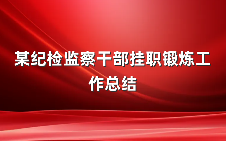 某纪检监察干部挂职锻炼工作总结