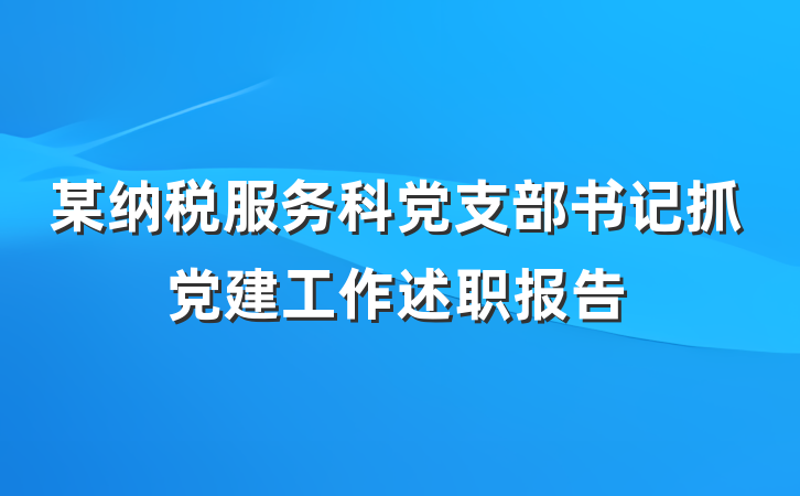 某纳税服务科党支部书记抓党建工作述职报告