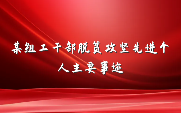 某组工干部脱贫攻坚先进个人主要事迹