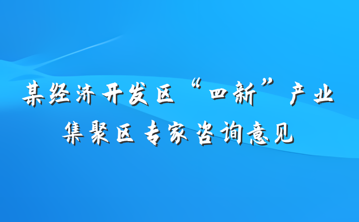 某经济开发区“四新”产业集聚区专家咨询意见