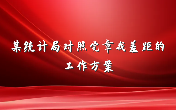 某统计局对照党章找差距的工作方案
