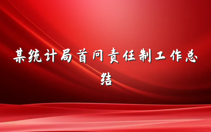某统计局首问责任制工作总结