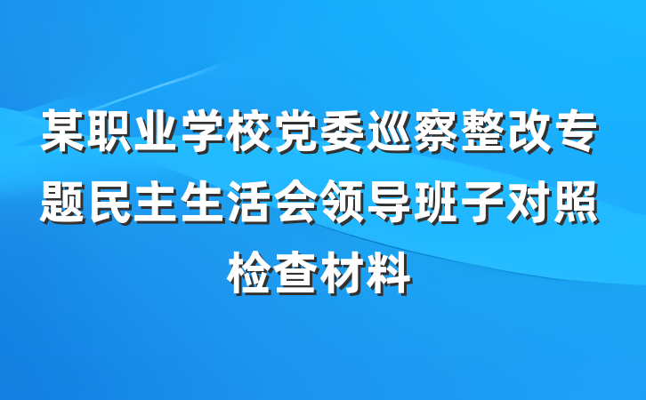 某职业学校党委巡察整改专题民主生活会领导班子对照检查材料