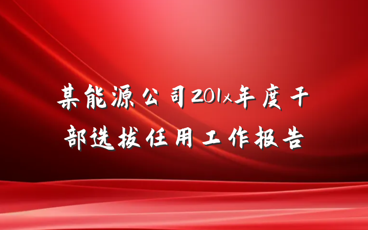 某能源公司201x年度干部选拔任用工作报告