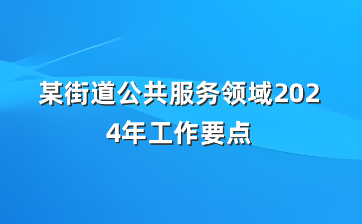 某街道公共服务领域2024年工作要点