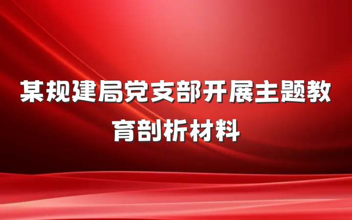 某规建局党支部开展主题教育剖析材料