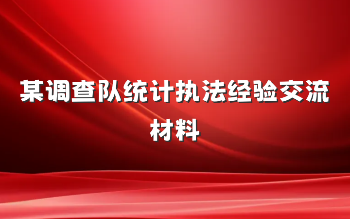 某调查队统计执法经验交流材料