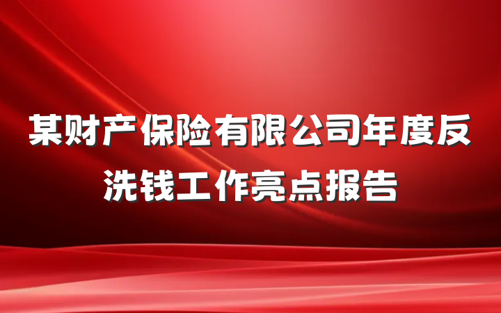某财产保险有限公司年度反洗钱工作亮点报告
