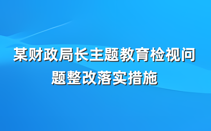 某财政局长主题教育检视问题整改落实措施