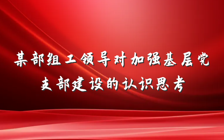 某部组工领导对加强基层党支部建设的认识思考