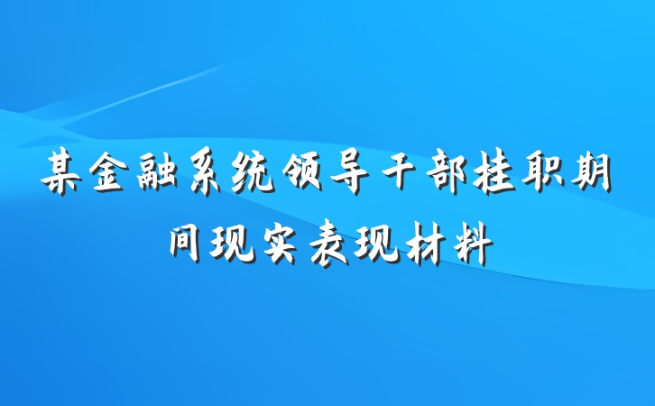 某金融系统领导干部挂职期间现实表现材料