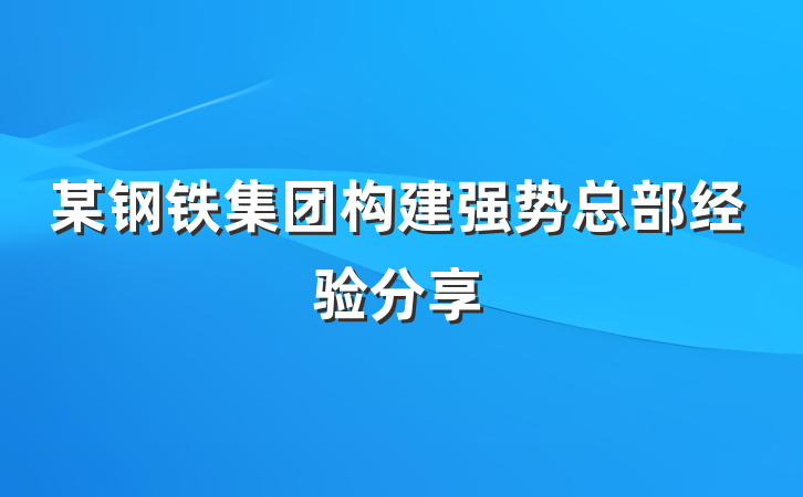 某钢铁集团构建强势总部经验分享