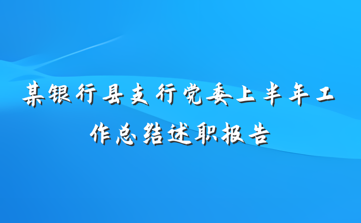 某银行县支行党委上半年工作总结述职报告