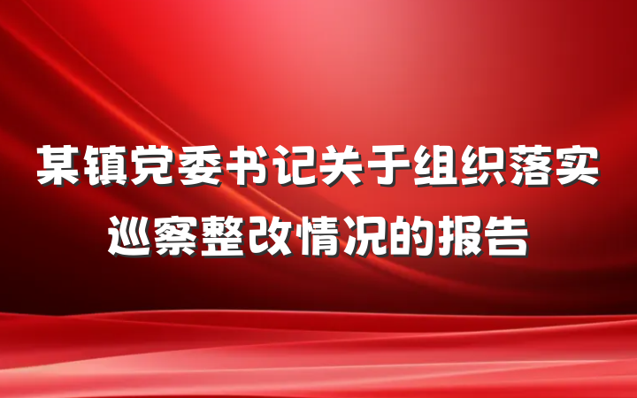某镇党委书记关于组织落实巡察整改情况的报告