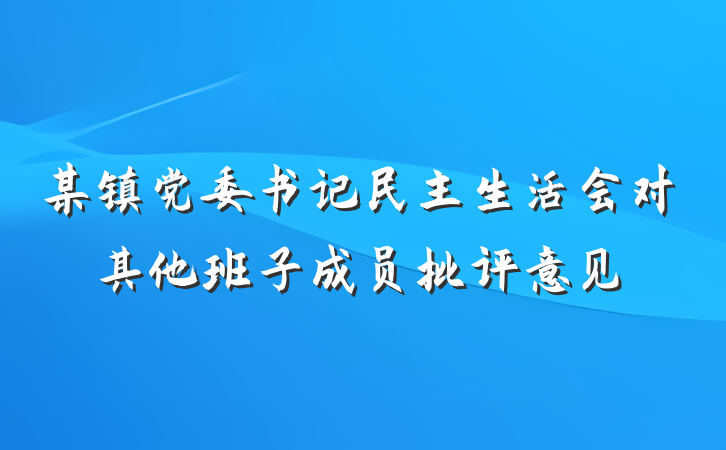 某镇党委书记民主生活会对其他班子成员批评意见