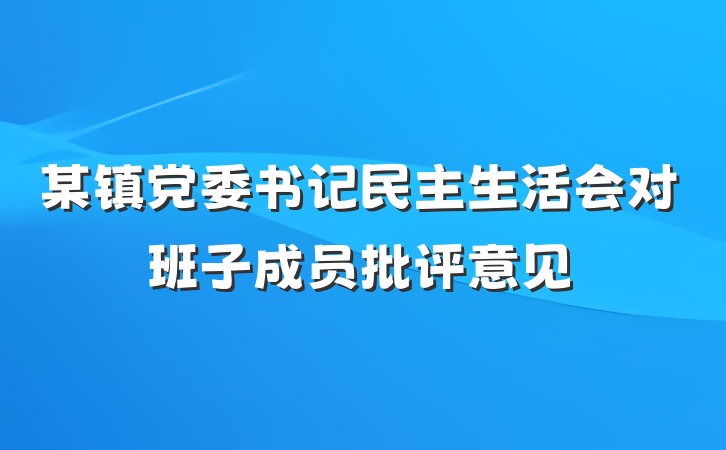 某镇党委书记民主生活会对班子成员批评意见