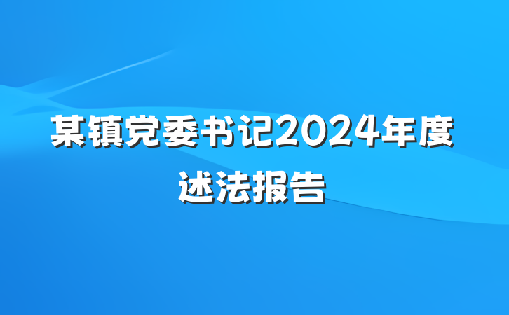 某镇党委书记2024年度述法报告