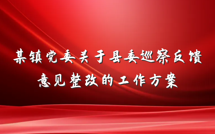 某镇党委关于县委巡察反馈意见整改的工作方案