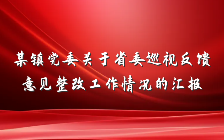 某镇党委关于省委巡视反馈意见整改工作情况的汇报