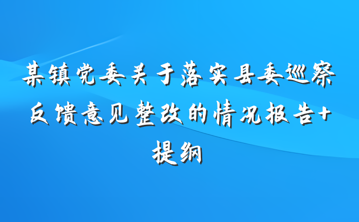 某镇党委关于落实县委巡察反馈意见整改的情况报告 提纲