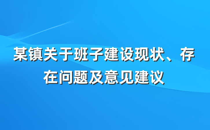 某镇关于班子建设现状、存在问题及意见建议